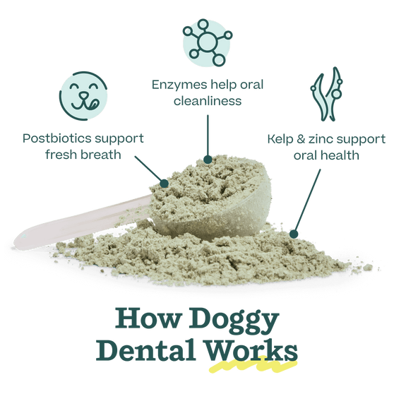 Woof Pet | Pupsicle Mix - Doggy Dental Mix 5.5oz