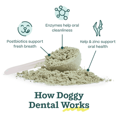 Woof Pet | Pupsicle Mix - Doggy Dental Mix 5.5oz