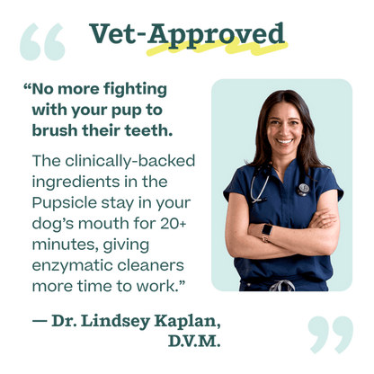 Woof Pet | Pupsicle Mix - Doggy Dental Mix 5.5oz