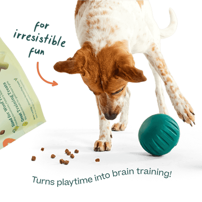 Woof Pet | Woof Puzzle Treats, Chicken