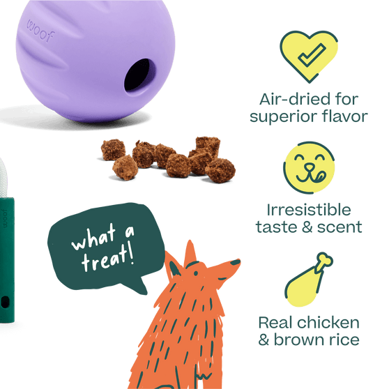 Woof Pet | Woof Puzzle Treats, Chicken
