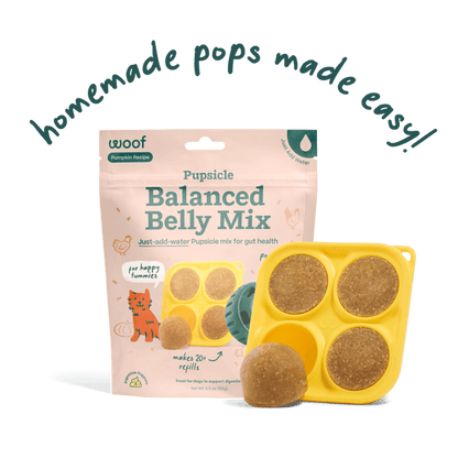 Woof Pet Pupsicle Mix - Balanced Belly 5.5oz