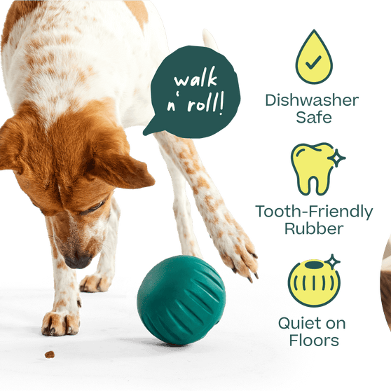 Woof Pet | Walkabout