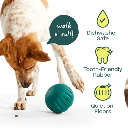 Woof Pet | Walkabout