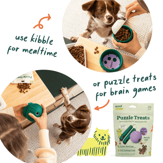 Woof Pet | Walkabout