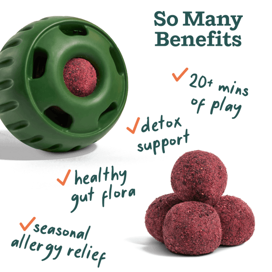 Woof Pet Allergy & Immunity Pops