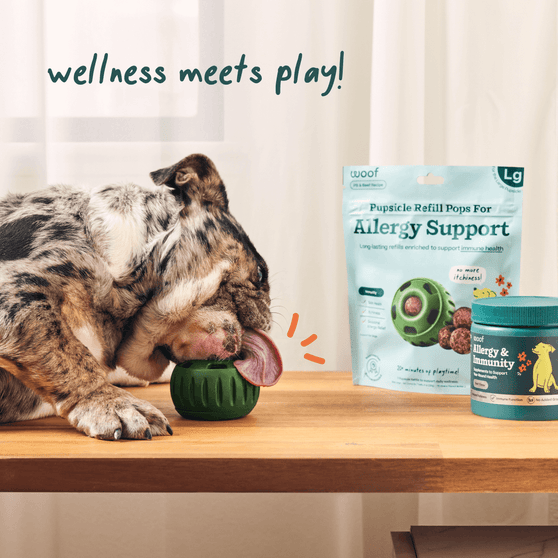 Woof Pet Allergy & Immunity Pops