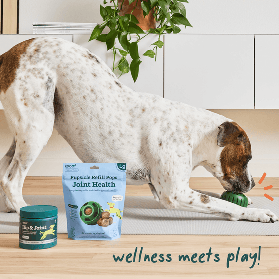 Woof Pet Hip & Joint Pops