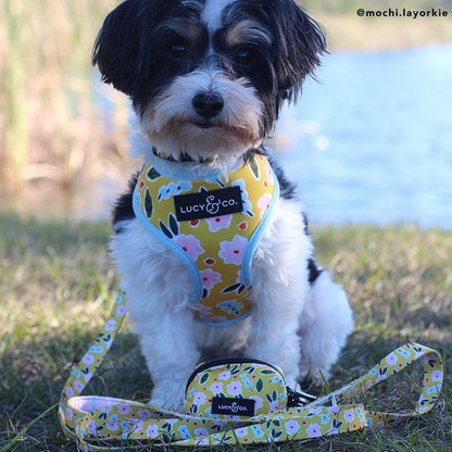 The Little Lamb Leash