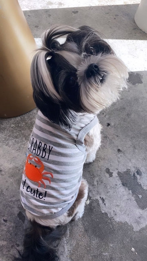 Crabby But Cute Pet T-Shirt
