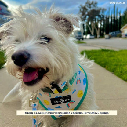 The Rain or Shine Collar