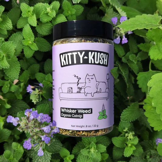 Kitty Kush - Kitty Kush Catnip