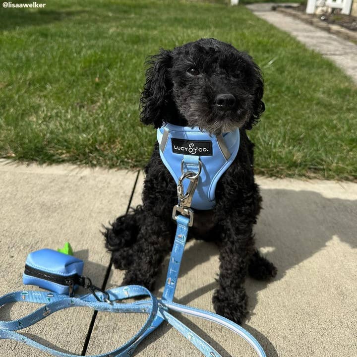 The Denim Blue Poop Bag Holder