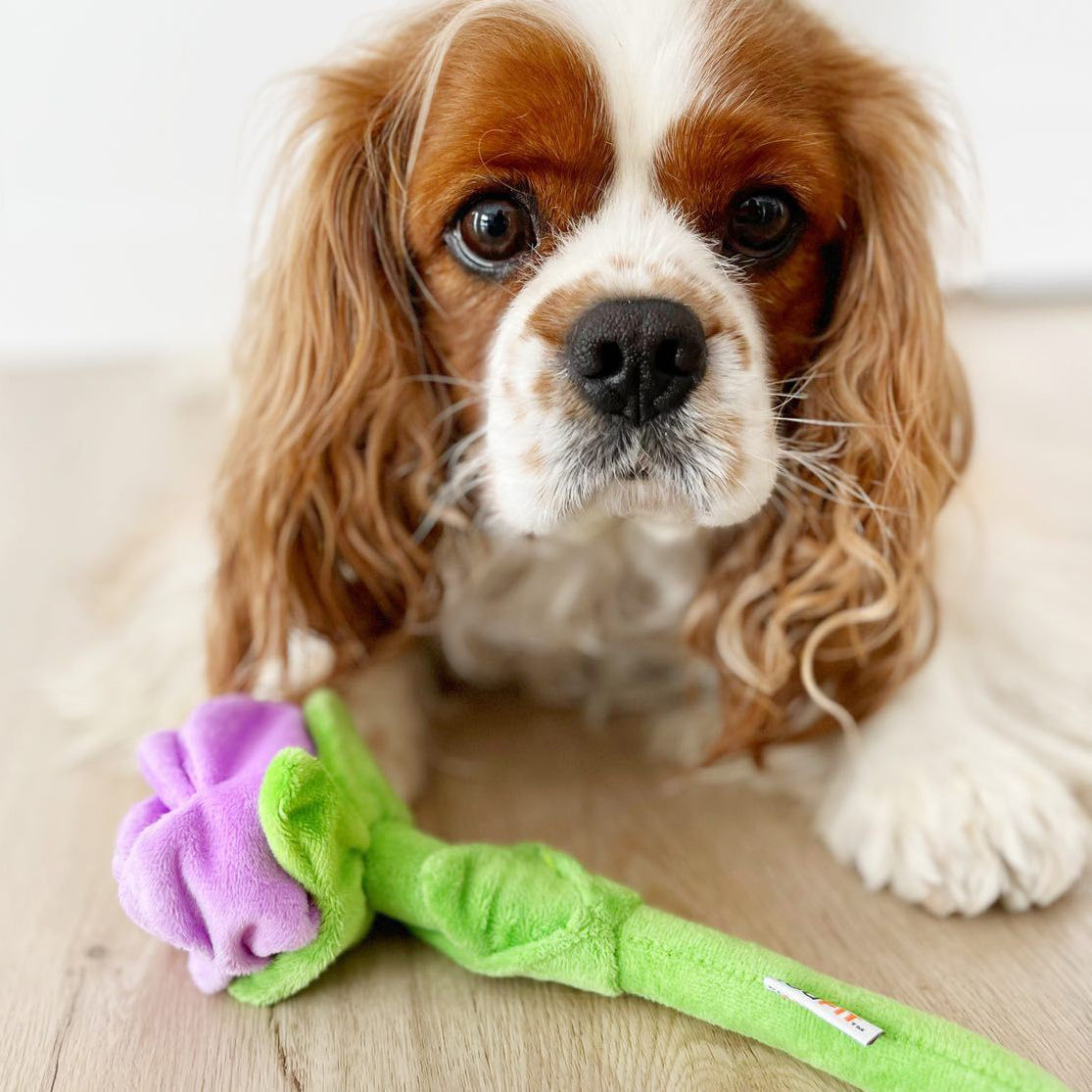 Hide 'n Seek Florals - Rose Plush Dog Toy Pink Hide 'n Seek Florals - Rose Plush Dog Toy Pink