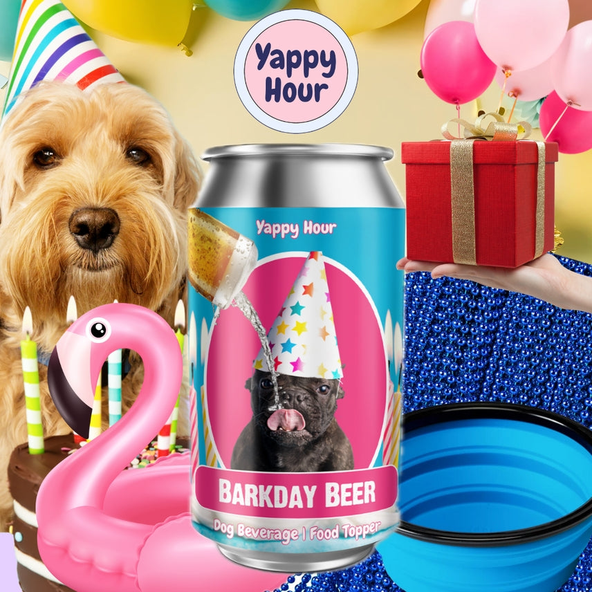 Barkday Dog Beer 12oz