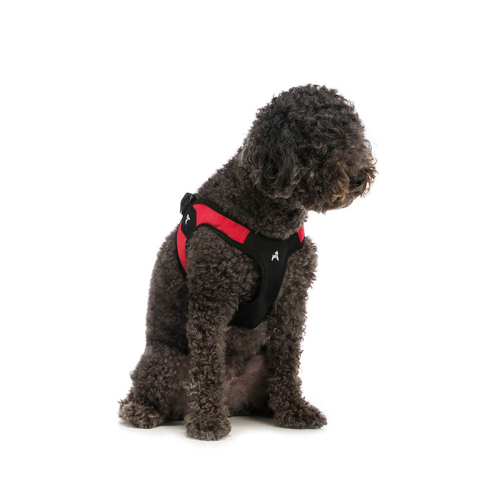 Escape Free Easy Fit Harness