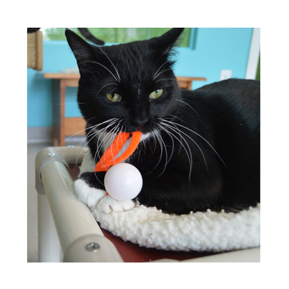 Wiggly Pong - Cat Toy Plastic Pong Ball