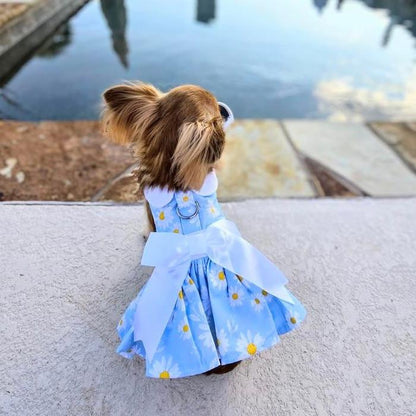Blue Daisy Harness Dress with Matching Leash
