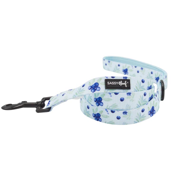 Dog Leash - Berry Sassy