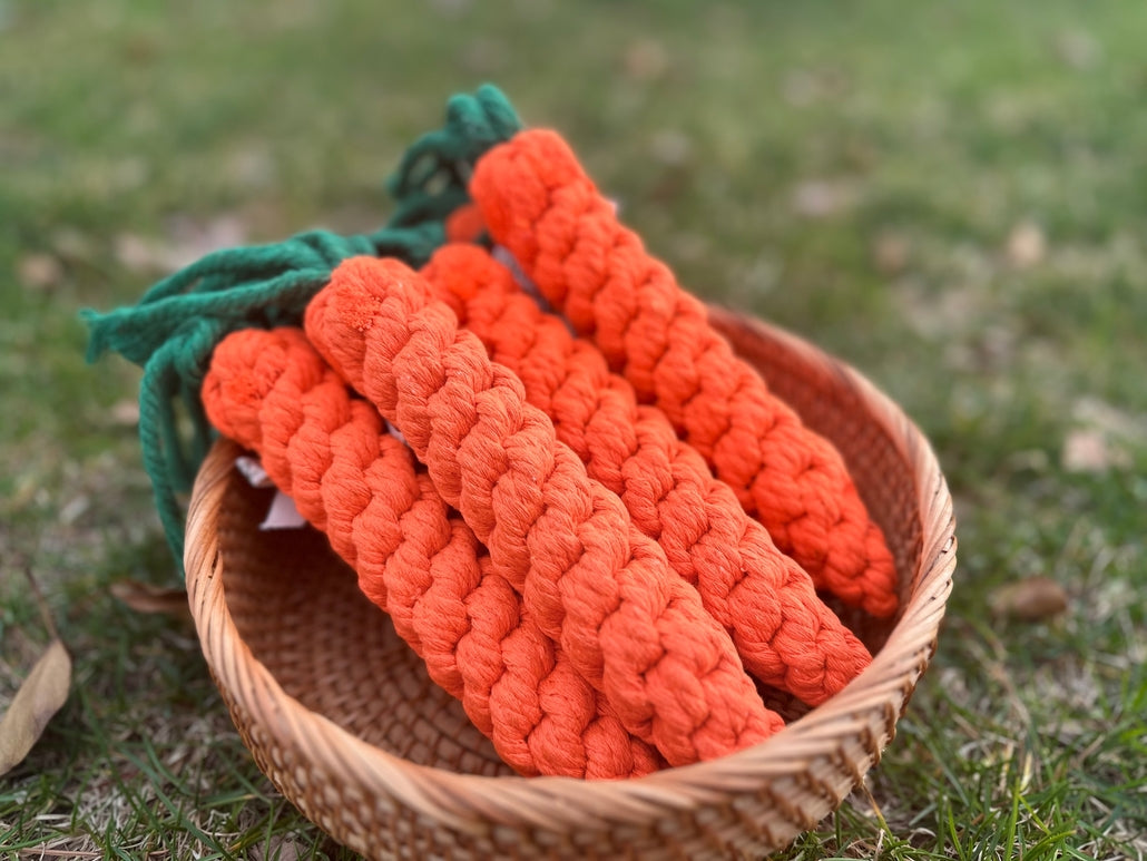 Carrot Rope Toy, Small