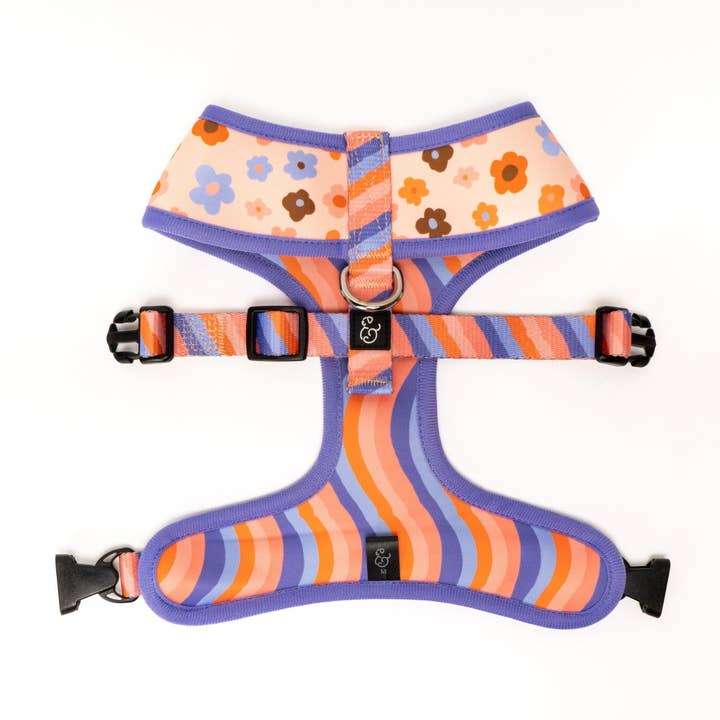 The Let's Groove Reversible Harness