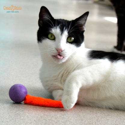 Wiggly Pong - Cat Toy Plastic Pong Ball