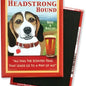 Dog Magnet - Beagle "Headstrong Hound"