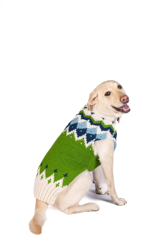 Spring Ski Bum Dog Sweater