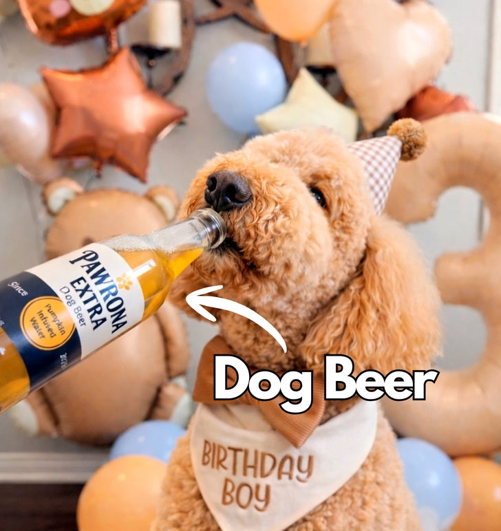 Furball + Catweiser Catnip Toys