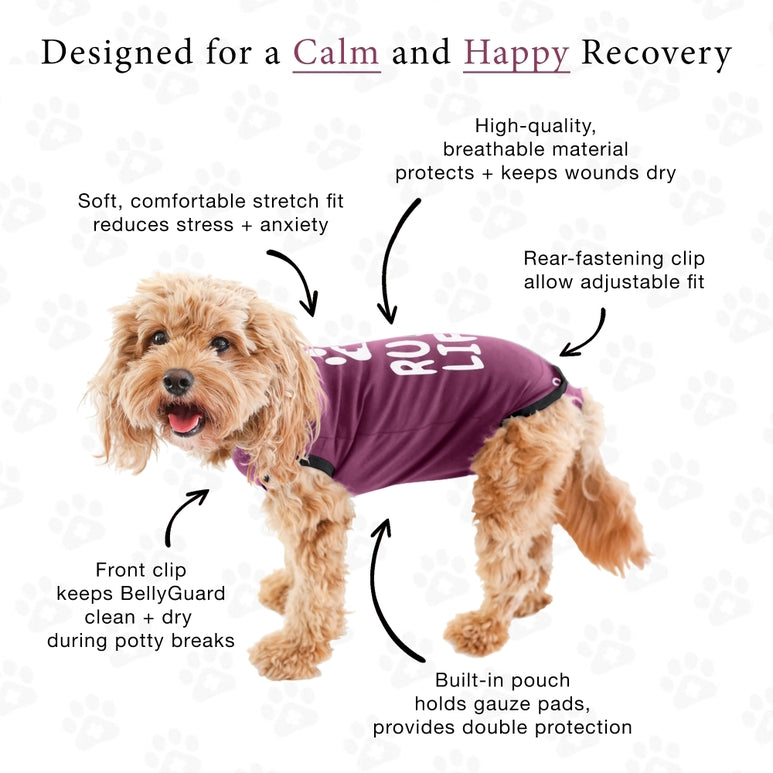 BellyGuard Recovery Suit For Dogs, Maroon