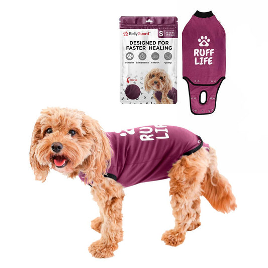 BellyGuard Recovery Suit For Dogs, Maroon