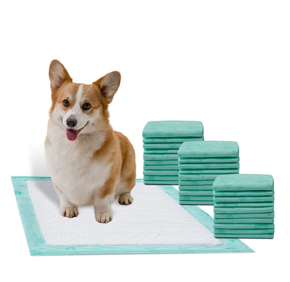 Earth Friendly Dog Pad - Ultra 30 Pack