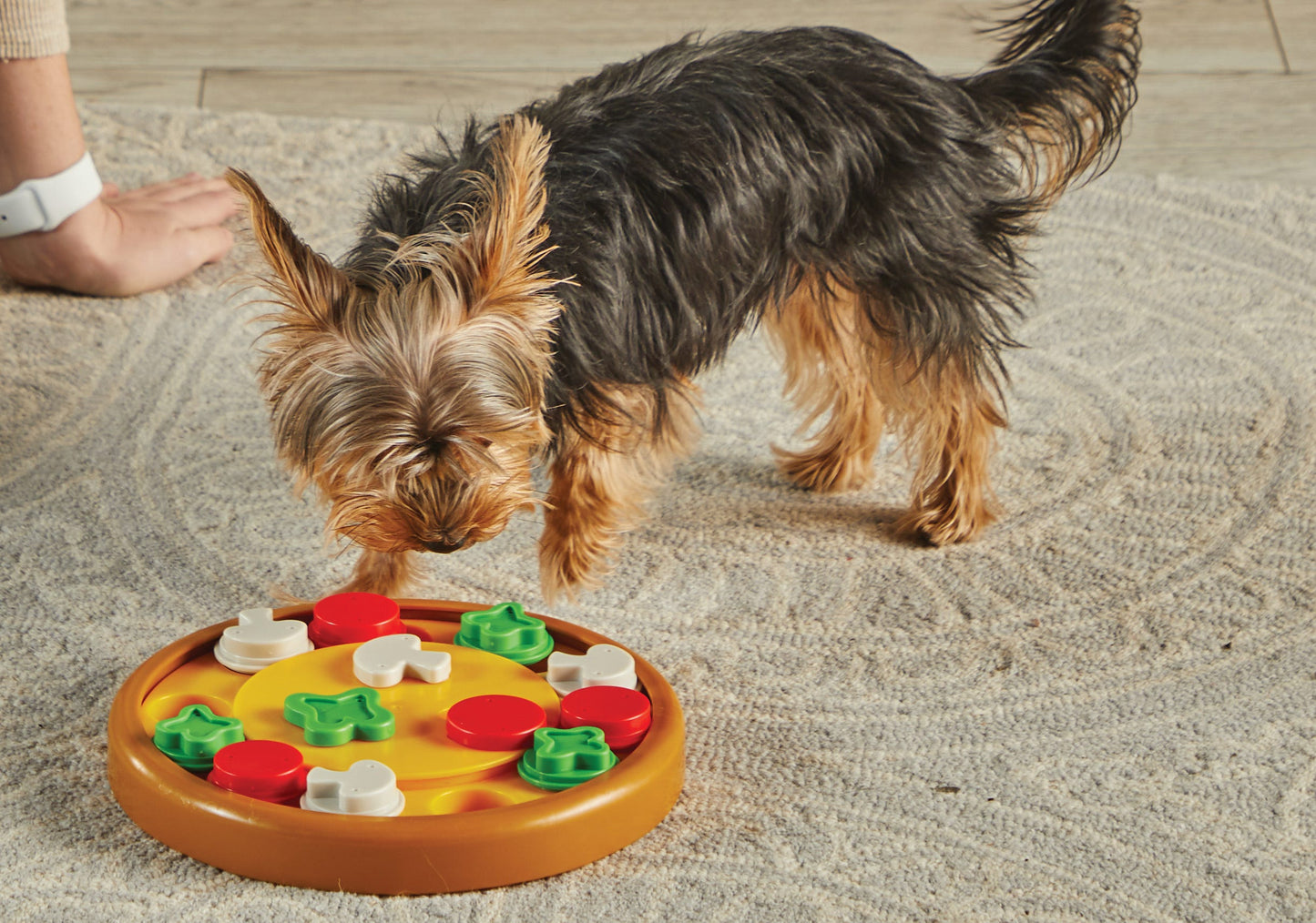 Pizza Party! Treat Puzzle