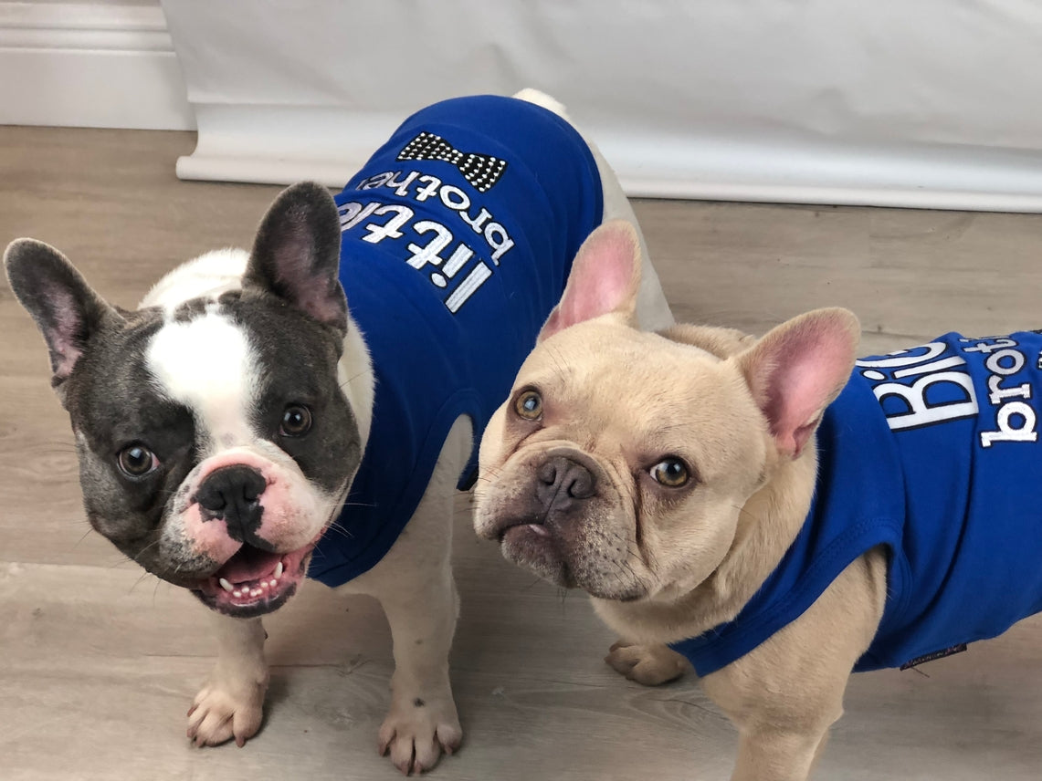 Big Brother Pet T-Shirt