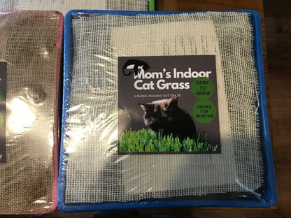 10"x10" Large Cat Grass Garden
