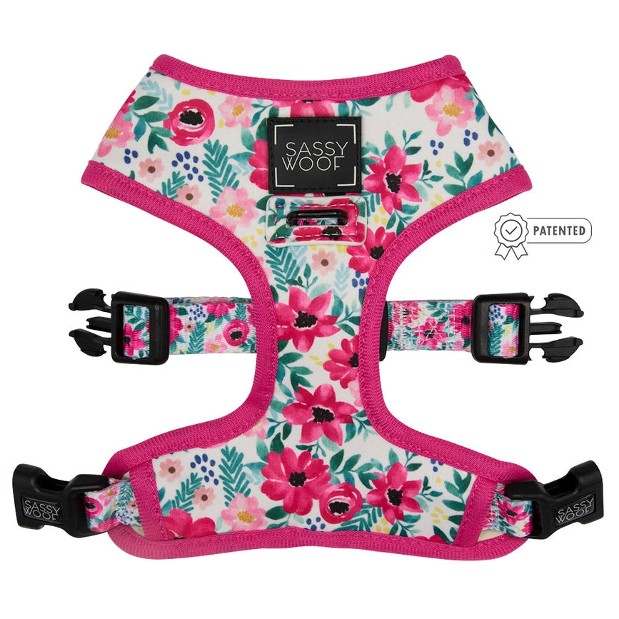 Floral Frenzy Reversible Dog Harness