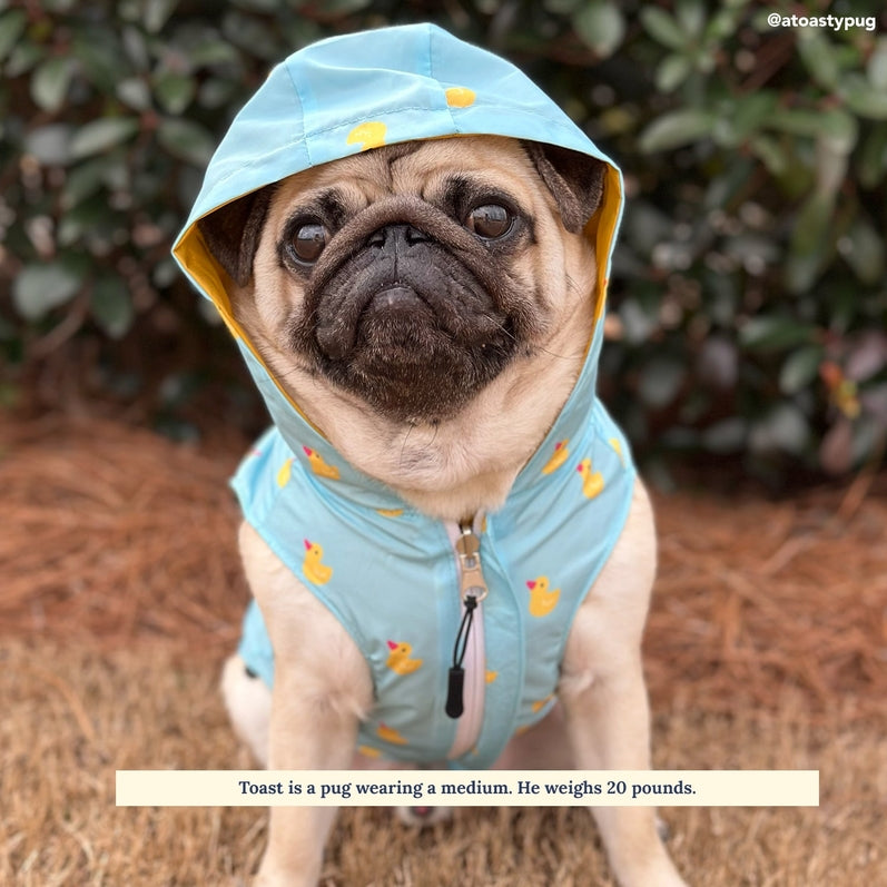 The Lucky Ducky Reversible Raincoat