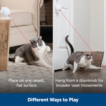 Dancing Dot™ Laser Cat Toy