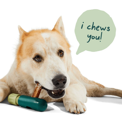 Bullysafe Chews - Pure Collagen Beef