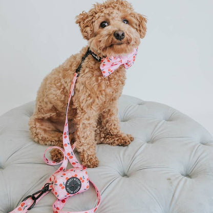Dog Waste Bag Holder - Mon Cherry