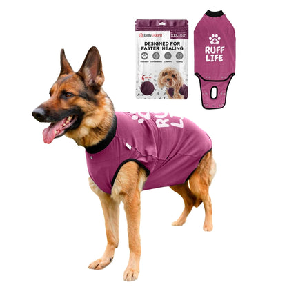 BellyGuard Recovery Suit For Dogs, Maroon