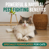 TropiClean Natural Flea + Tick Gentle Cat Shampoo