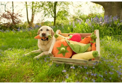 Garden Fresh Collection - Carrot Toy