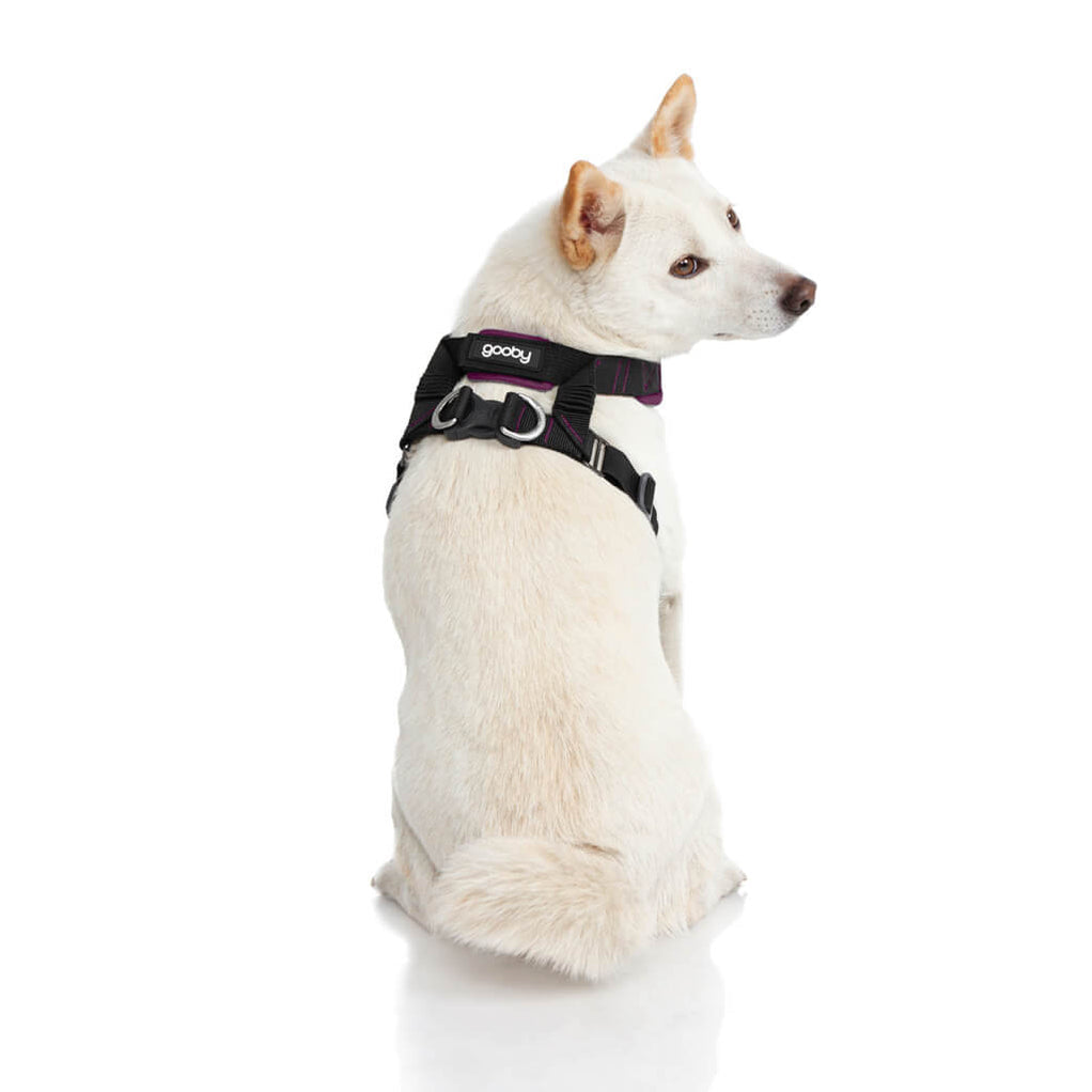 [Clearance] Convertible Z Harness
