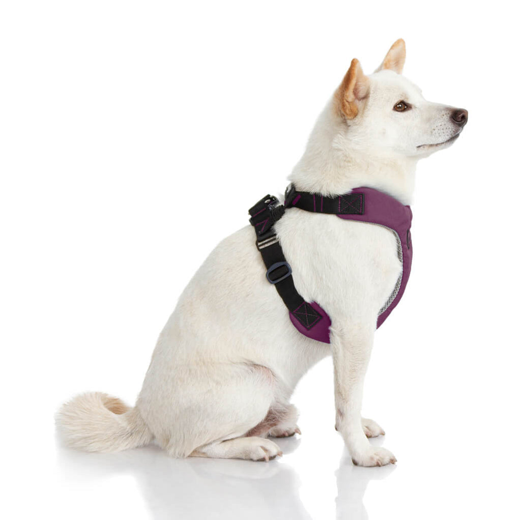 [Clearance] Convertible Z Harness