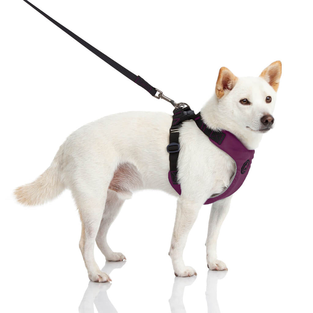 [Clearance] Convertible Z Harness