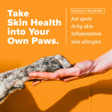 TROPICLEAN HOMEVET DOG & CAT ITCH AND ALLERGY SPRAY 8OZ