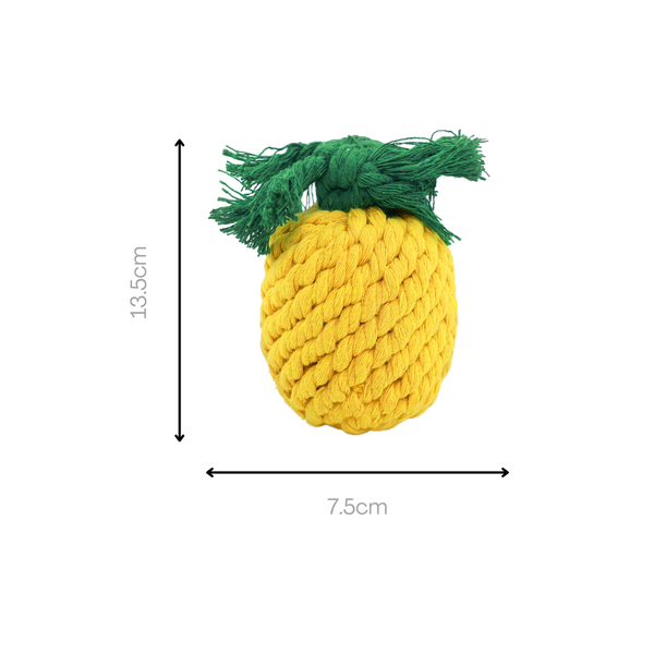 Handmade Pineapple Rope Toy, Small