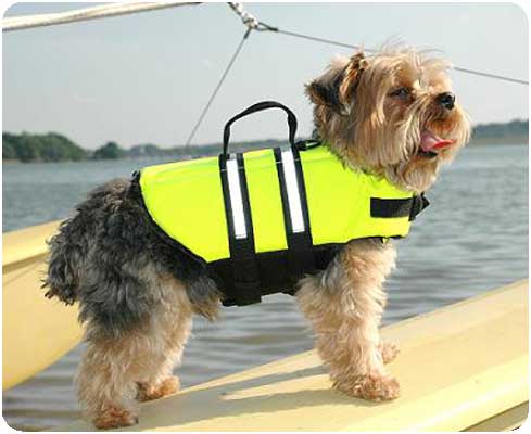 Pet life vests for dogs best sale