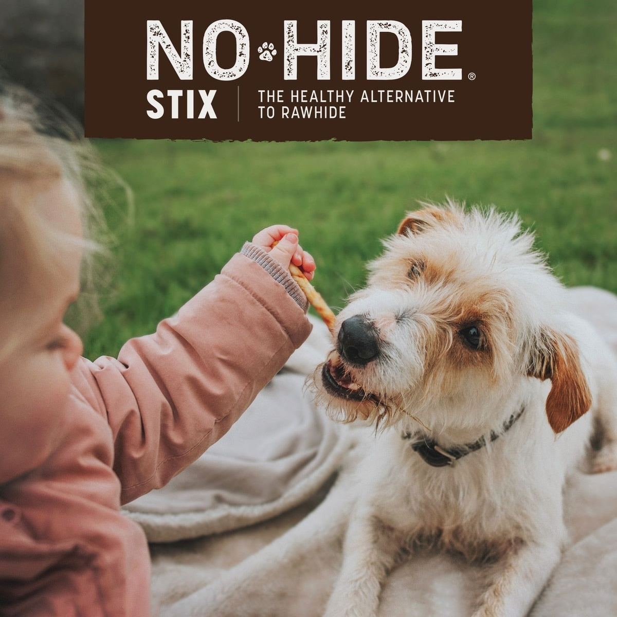 Earth Animal No-Hide Stix Beef Recipe Chew Dog & Cat Treat Sticks, 20 count